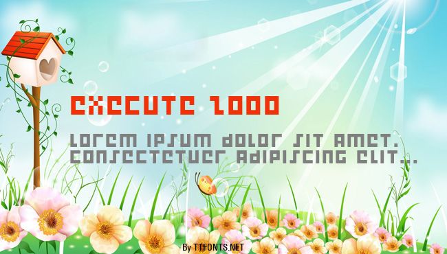 Execute 2000 example